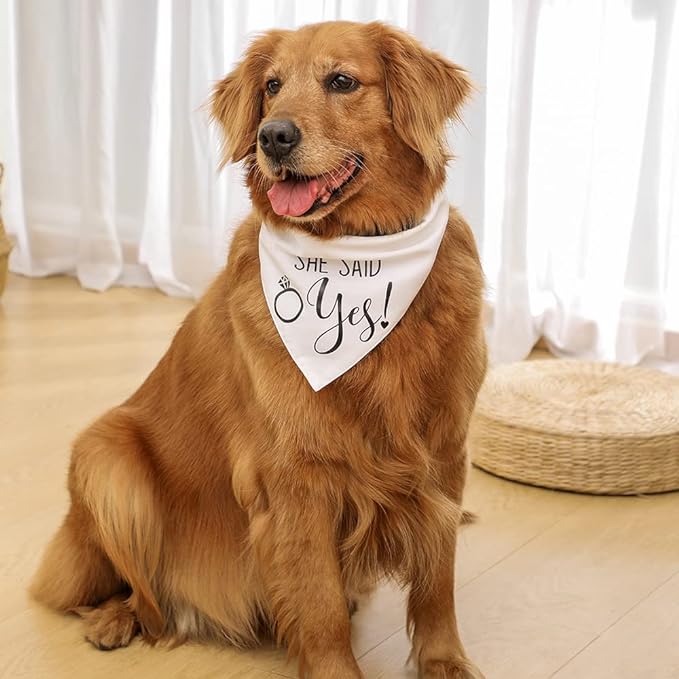 UgyDuky 2Pcs Dog Wedding Bandana Dog Triangle Scarf with Letter Printing, Will You Marry My Daddy & She Said Yes Pet Triangle Bibs Dog Handkerchiefs Dog Wedding Attire Pet Scarf Accessories for Dog Lovers, Wedding Engagement Photos, Bridal Shower Gift, Adjustable Fit for Small Medium Large Dogs Cats Pets (A) - Image 3