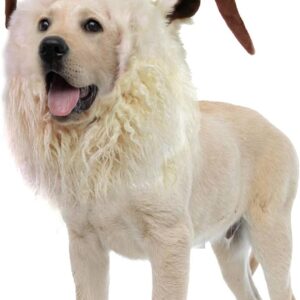 Onmygogo Funny Pet Moose Costumes for Dog, Cute Furry Pet Wig for Halloween Christmas, Pet Clothing Accessories (Goat, Size L)