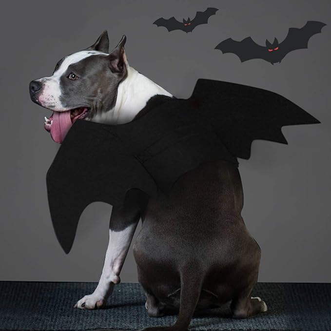 RYPET Dog Bat Costume - Halloween Pet Costume Bat Wings Cosplay Dog Costume Pet Costume for Party L - Image 5