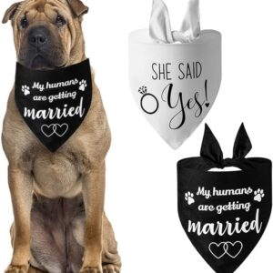 UgyDuky 2Pcs Dog Wedding Bandana Dog Triangle Scarf with Letter Printing, Will You Marry My Daddy & She Said Yes Pet Triangle Bibs Dog Handkerchiefs Dog Wedding Attire Pet Scarf Accessories for Dog Lovers, Wedding Engagement Photos, Bridal Shower Gift, Adjustable Fit for Small Medium Large Dogs Cats Pets (A)