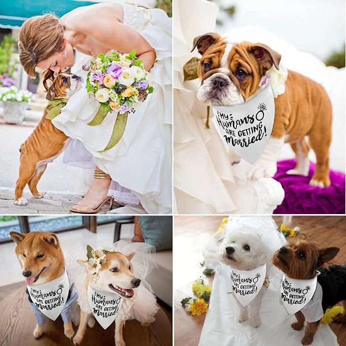 White My Humans are Getting Married Dog Wedding Engagement Bandana,Wedding Photo Photos, LMSHOWOWO Dog Bandana Wedding Engagement Announcement Gifts Pet Scarf Accessories for Dog Lovers, Bridal Shower - Image 5