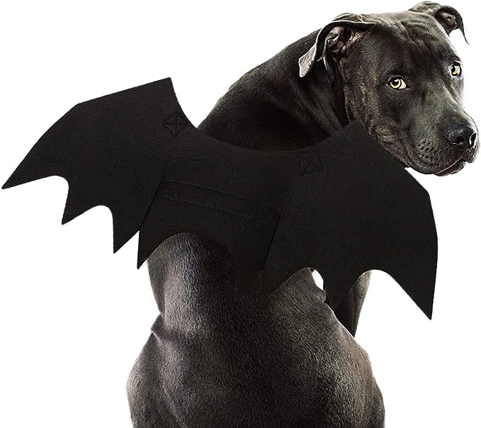 RYPET Dog Bat Costume - Halloween Pet Costume Bat Wings Cosplay Dog Costume Pet Costume for Party L