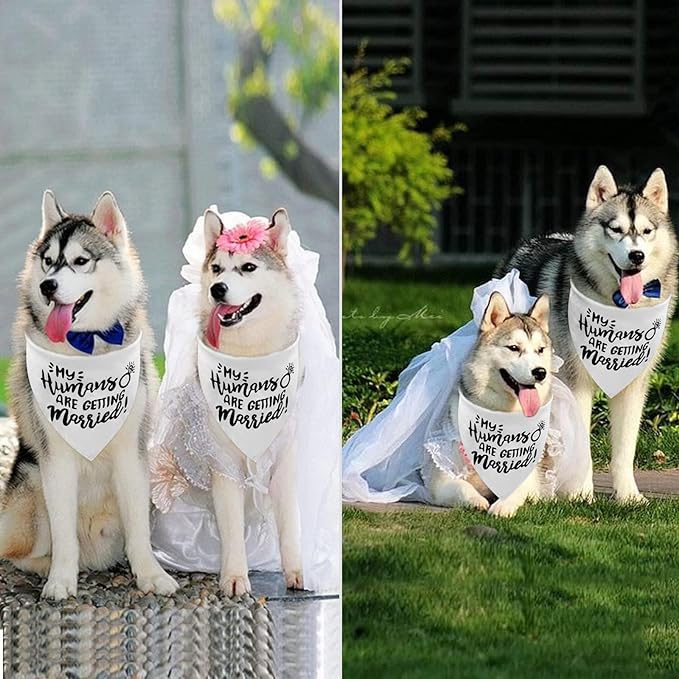 White My Humans are Getting Married Dog Wedding Engagement Bandana,Wedding Photo Photos, LMSHOWOWO Dog Bandana Wedding Engagement Announcement Gifts Pet Scarf Accessories for Dog Lovers, Bridal Shower - Image 4