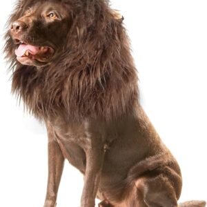 Onmygogo Lion Mane Wig for Dogs with Ears, Funny Pet Costumes for Halloween Christmas (L, Coffee)