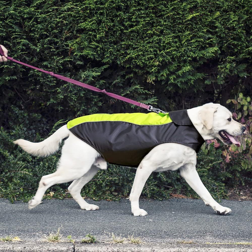 Dog Raincoat, Sport Indoor Outdoor Jacket with Waterproof Windproof Outer Layer and Warm Fleece Inner Vest Apparel for Small Medium Large Dogs (L, Green)