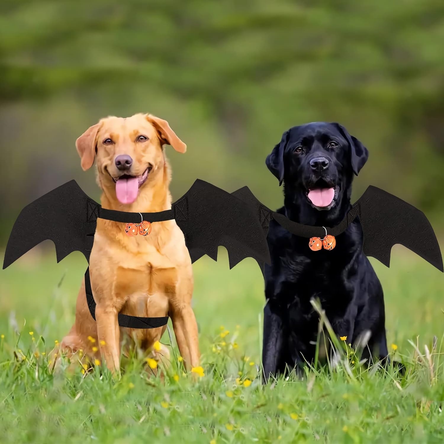 Bowtus Halloween Dog Bat Wings Pet Costume with Pumpkin Bells for Halloween Party Decorations, Cute Puppy Dog and Cat Collar Bat Wings Cosplay Party Dress Up Funny Cool Appare(Large) - Image 7