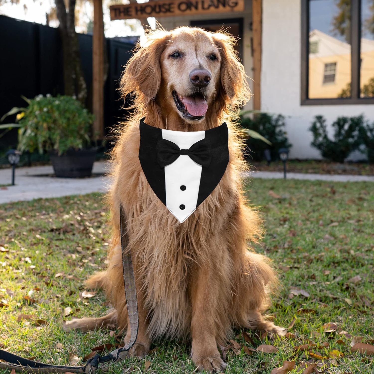 GOYOSWA Dog Tuxedo Dog Suit Dog Wedding Bandana Collar with Bow Tie, Adjustable Dog Tux Formal Dog Costumes, Engagement Birthday Gifts for Small Medium Large Dogs Pets (Large: Neck 15?-25?) - Image 5