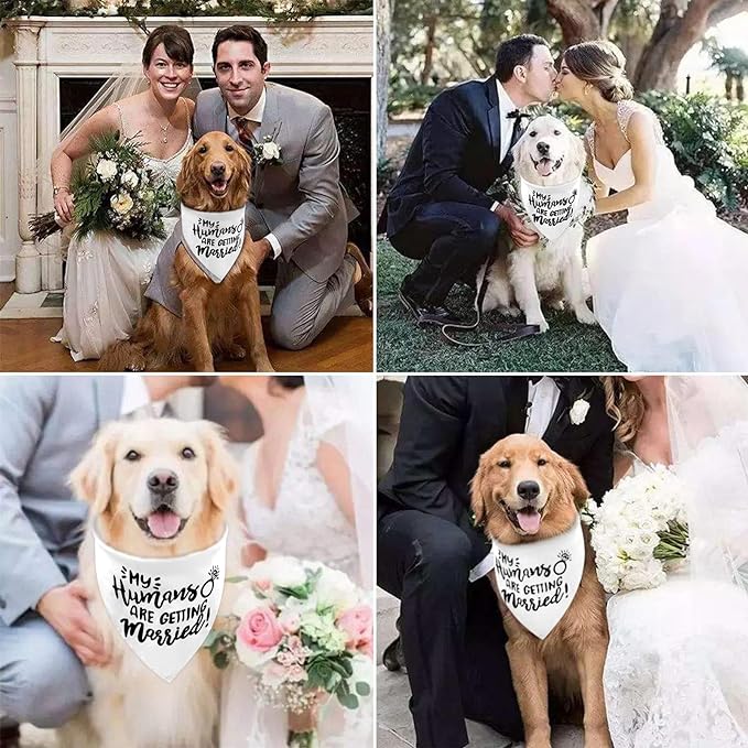 White My Humans are Getting Married Dog Wedding Engagement Bandana,Wedding Photo Photos, LMSHOWOWO Dog Bandana Wedding Engagement Announcement Gifts Pet Scarf Accessories for Dog Lovers, Bridal Shower - Image 7