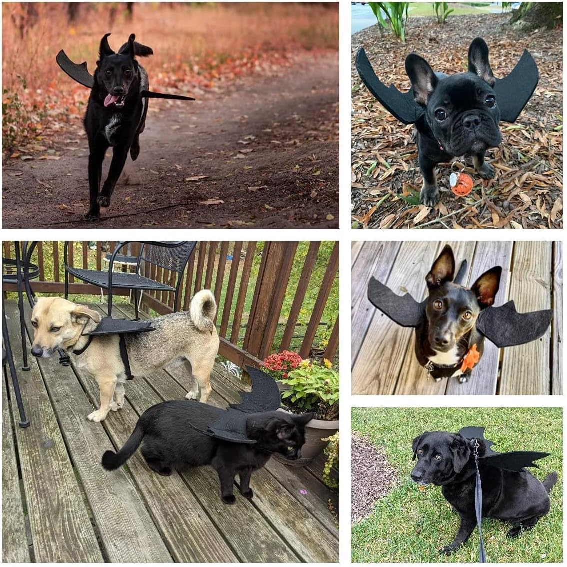 Bowtus Halloween Dog Bat Wings Pet Costume with Pumpkin Bells for Halloween Party Decorations, Cute Puppy Dog and Cat Collar Bat Wings Cosplay Party Dress Up Funny Cool Appare(Large) - Image 5