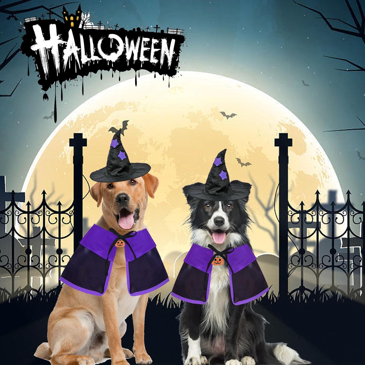 GOYOSWA Dog Halloween Costumes, Dog Witch Costume Halloween Dog Witch Cloak Cape Wizard Hat Halloween Costumes for Small Medium Large Dogs Pets(Dog Witch Costume, Large) - Image 5