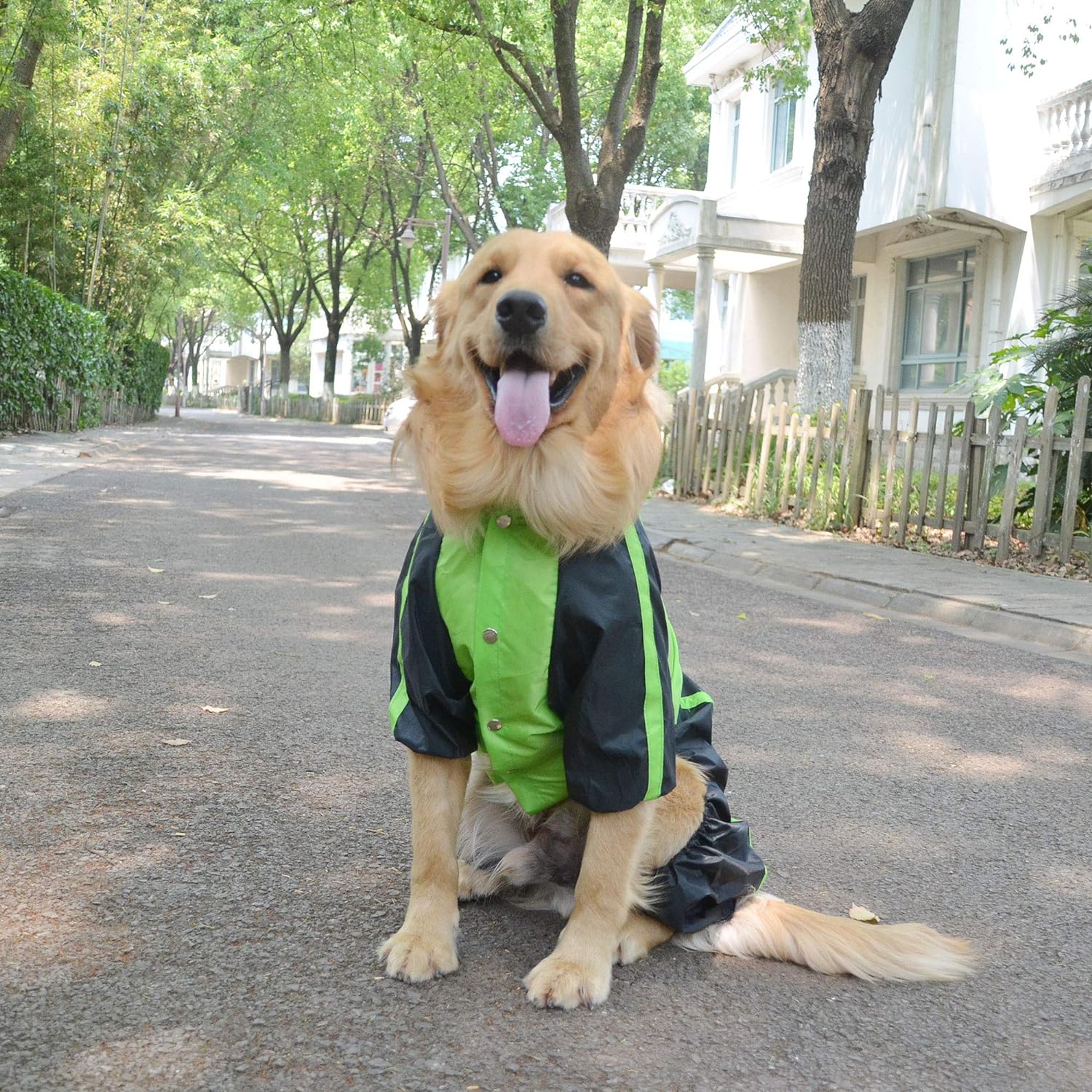 Lovelonglong Alaska Dog Hooded Raincoat, Golden Retriever Rain Jacket Poncho Waterproof Clothes with Hood Breathable 4 Feet Four Legs Rain Coats for Large Huge Dogs Green L-XL+ - Image 6